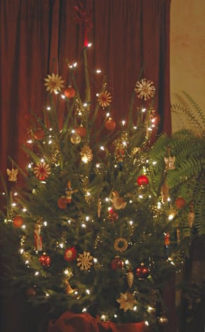 Kerstboom - Foto: AnneTanne - Creative Commons License