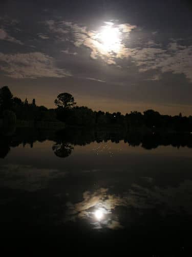 Full moon on Trout Lake.  Foto: Meaduva - Creative Commons Licentie